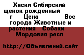 Хаски Сибирский (щенок рожденный 20.03.2017г.) › Цена ­ 25 000 - Все города Животные и растения » Собаки   . Мордовия респ.